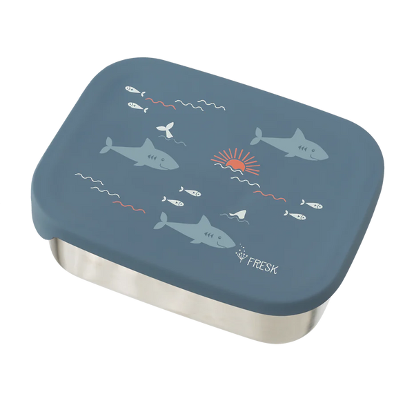Lunchbox Hai (Shark) - Fresk