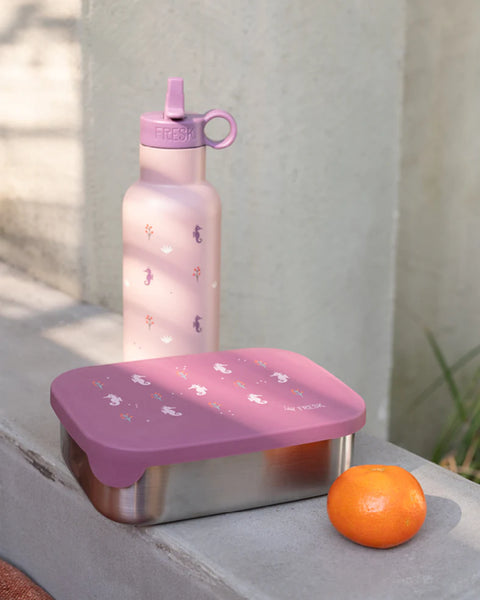 Lunchbox Seepferd (Seahorse) - Fresk