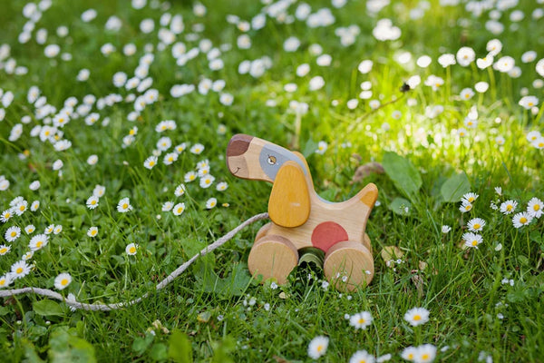 Hund (Holzspielzeug) - Friendly Toys