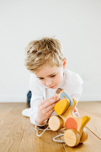 Hund (Holzspielzeug) - Friendly Toys
